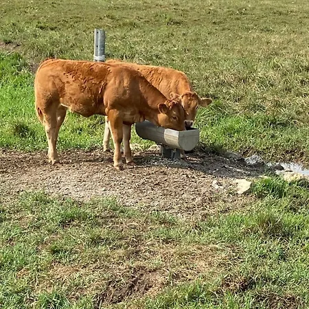 Cisneros Family House Garden Pool & Kids Area Miengo