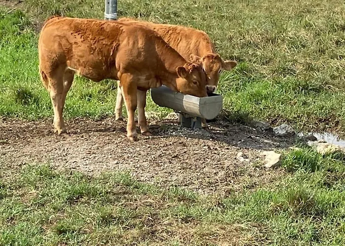 Cisneros Family House Garden Pool & Kids Area Miengo
